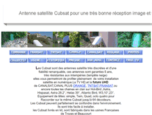 Tablet Screenshot of cubsat.com
